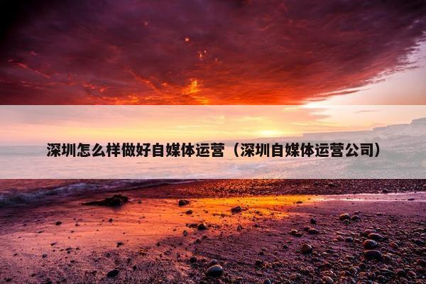 深圳怎么样做好自媒体运营(深圳自媒体运营公司)