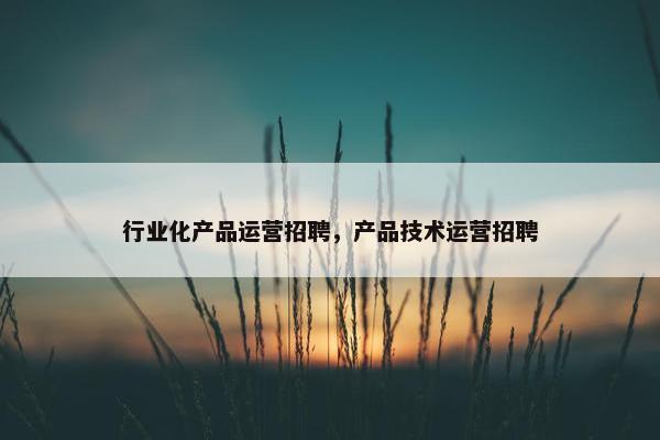 行业化产品运营招聘,产品技术运营招聘