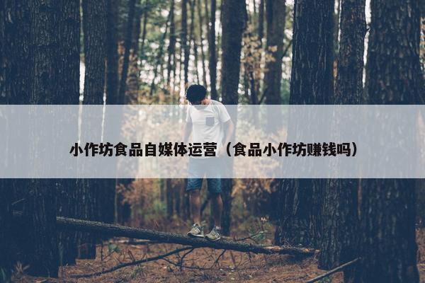 小作坊食品自媒体运营（食品小作坊赚钱吗）