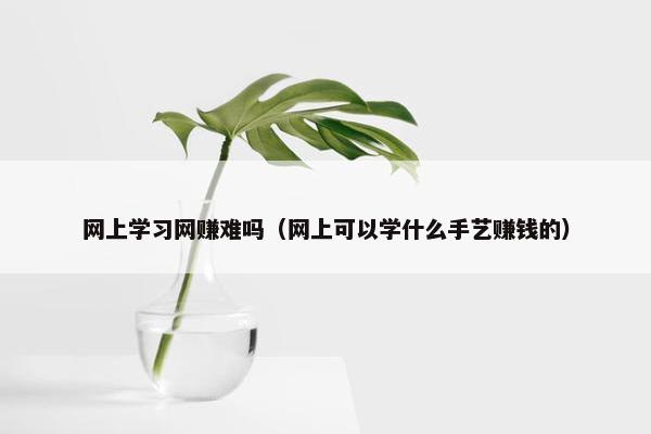 网上学习网赚难吗（网上可以学什么手艺赚钱的）
