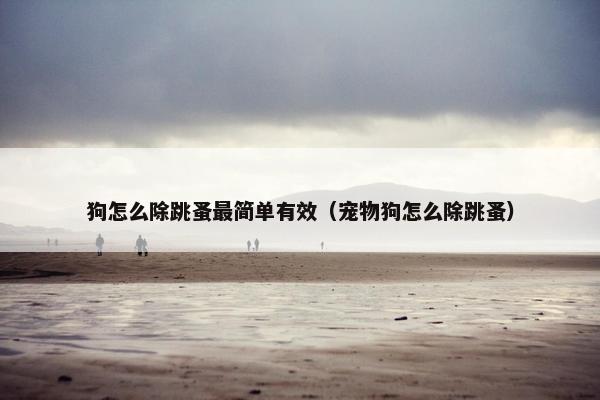 狗怎么除跳蚤最简单有效（宠物狗怎么除跳蚤）