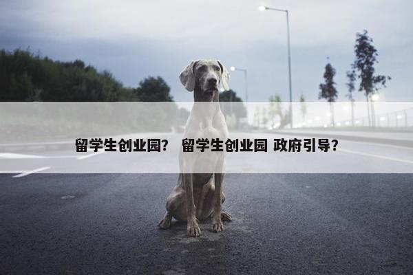 留学生创业园？ 留学生创业园 政府引导？