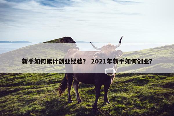 新手如何累计创业经验? 2021年新手如何创业?