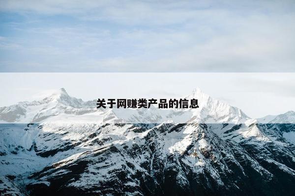 关于网赚类产品的信息