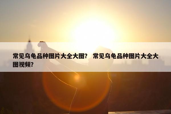常见乌龟品种图片大全大图? 常见乌龟品种图片大全大图视频? 常见乌龟品种图片大全大图? 常见乌龟品种图片大全大图视频?