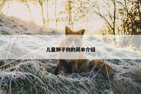 儿童狮子狗的简单介绍