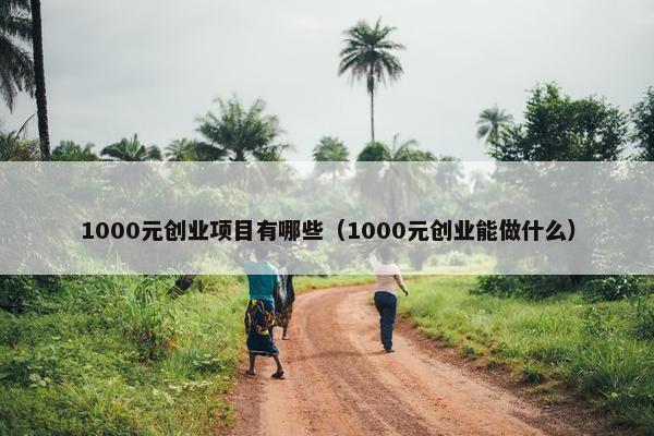 1000元创业项目有哪些(1000元创业能做什么)