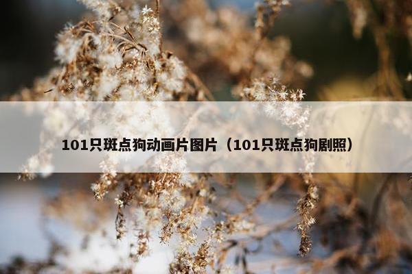 101只斑点狗动画片图片(101只斑点狗剧照) 101只斑点狗动画片图片(101只斑点狗剧照)