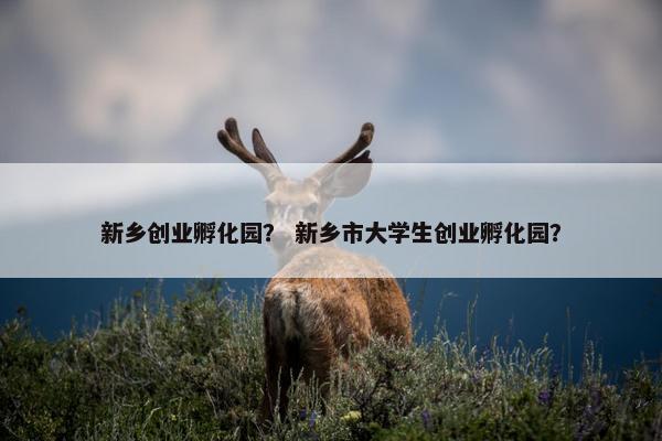 新乡创业孵化园? 新乡市大学生创业孵化园?