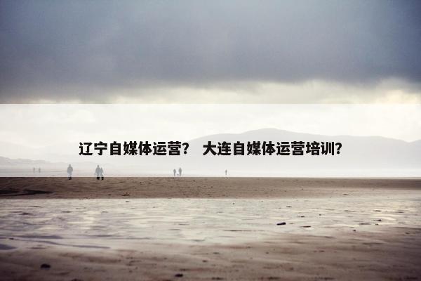 辽宁自媒体运营? 大连自媒体运营培训?