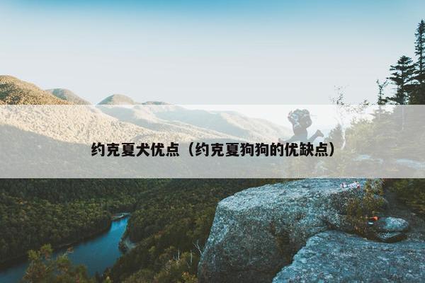 约克夏犬优点(约克夏狗狗的优缺点)