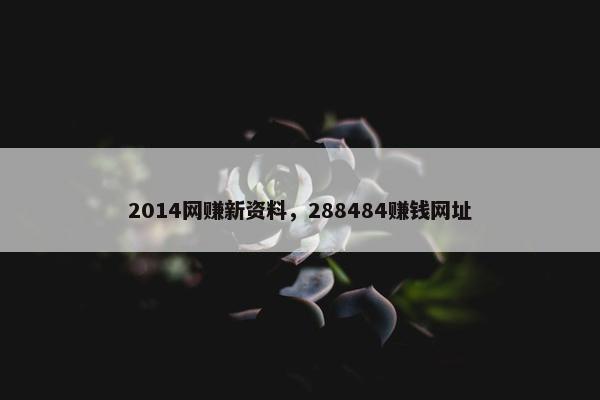 2014网赚新资料，288484赚钱网址