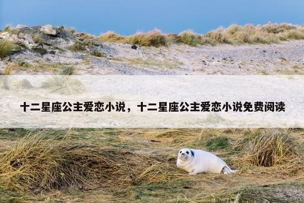 十二星座公主爱恋小说，十二星座公主爱恋小说免费阅读