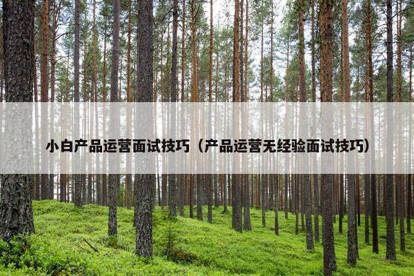 小白产品运营面试技巧（产品运营无经验面试技巧）