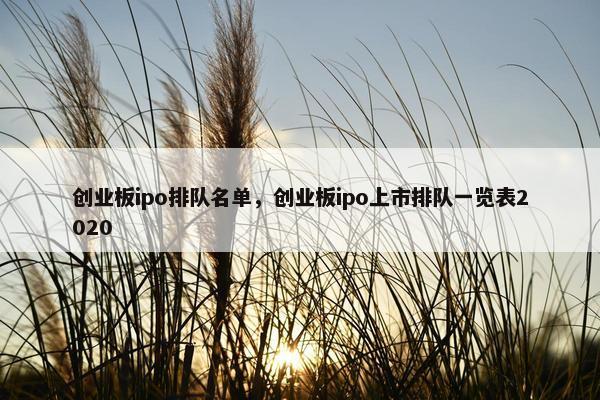 创业板ipo排队名单,创业板ipo上市排队一览表2020 创业板ipo排队名单,创业板ipo上市排队一览表2020