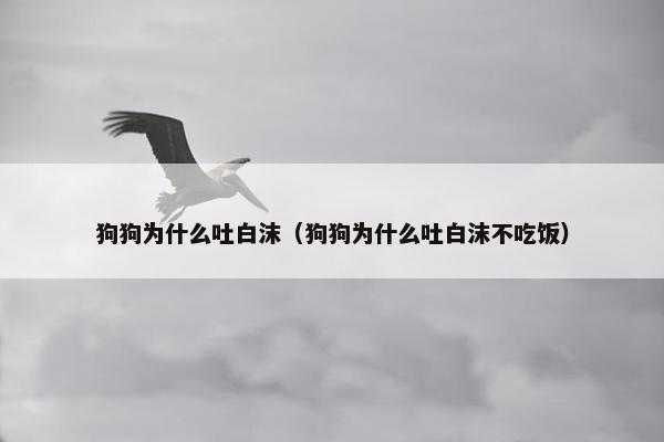狗狗为什么吐白沫（狗狗为什么吐白沫不吃饭）