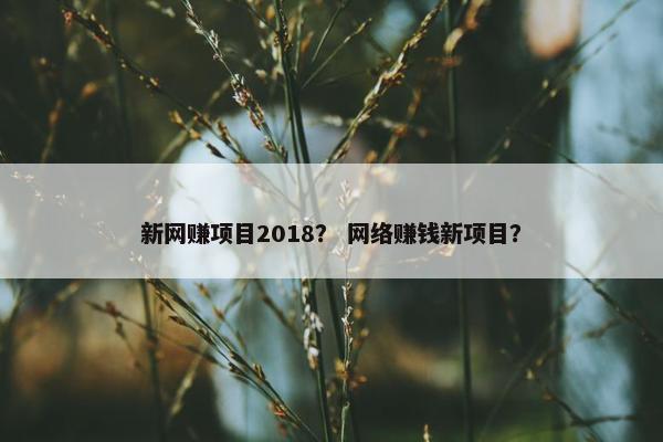 新网赚项目2018? 网络赚钱新项目?