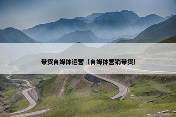 带货自媒体运营(自媒体营销带货)