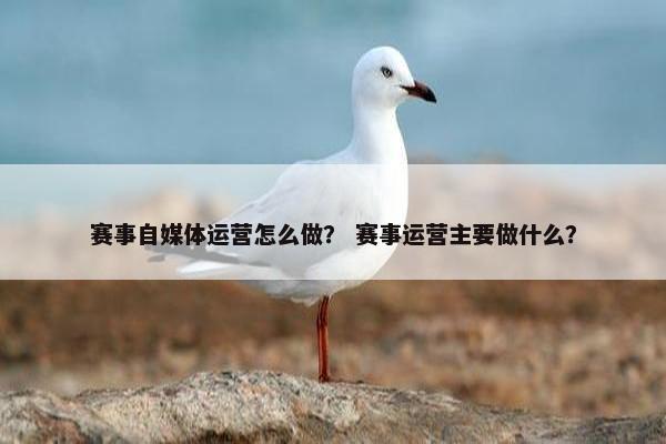 赛事自媒体运营怎么做? 赛事运营主要做什么?