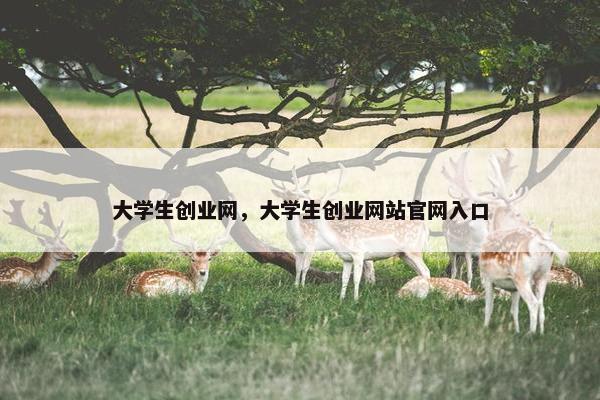 大学生创业网,大学生创业网站官网入口
