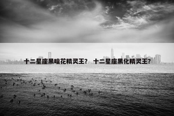 十二星座黑暗花精灵王? 十二星座黑化精灵王? 十二星座黑暗花精灵王? 十二星座黑化精灵王?