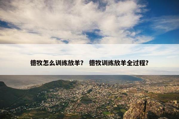 德牧怎么训练放羊？ 德牧训练放羊全过程？