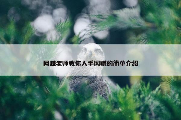 网赚老师教你入手网赚的简单介绍