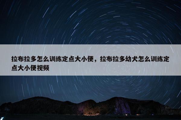 拉布拉多怎么训练定点大小便,拉布拉多幼犬怎么训练定点大小便视频