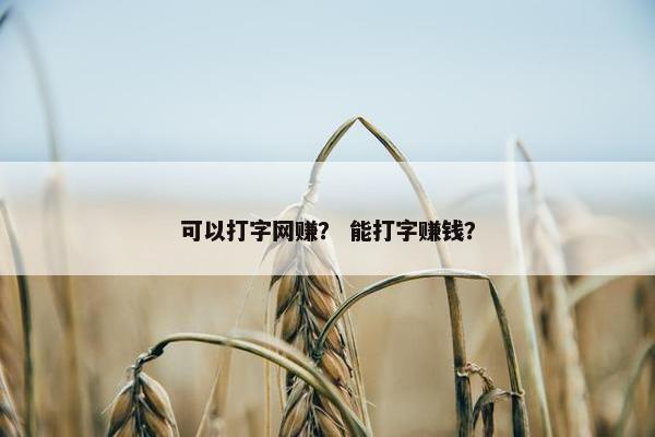 可以打字网赚? 能打字赚钱?