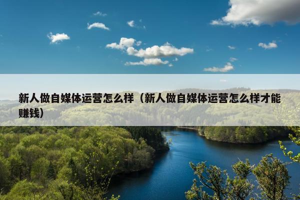新人做自媒体运营怎么样(新人做自媒体运营怎么样才能赚钱)