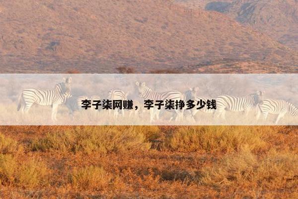 李子柒网赚，李子柒挣多少钱