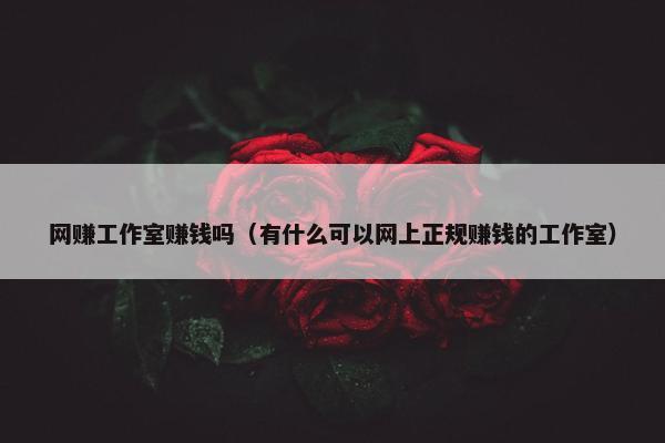 网赚工作室赚钱吗(有什么可以网上正规赚钱的工作室)
