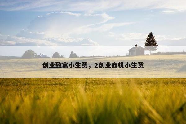 创业致富小生意,2创业商机小生意