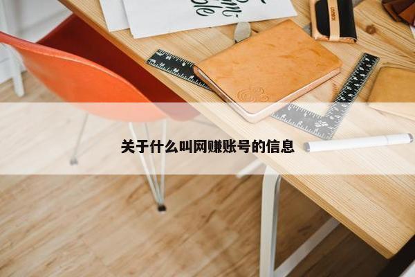 关于什么叫网赚账号的信息