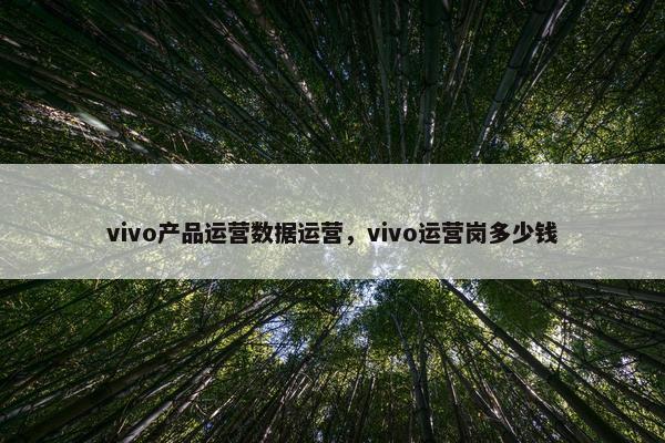 vivo产品运营数据运营,vivo运营岗多少钱