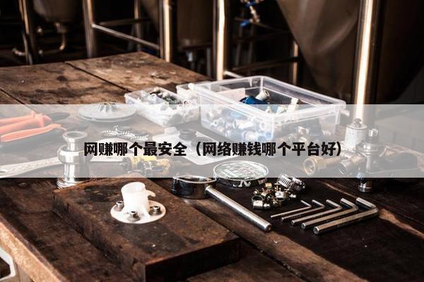 网赚哪个最安全(网络赚钱哪个平台好)