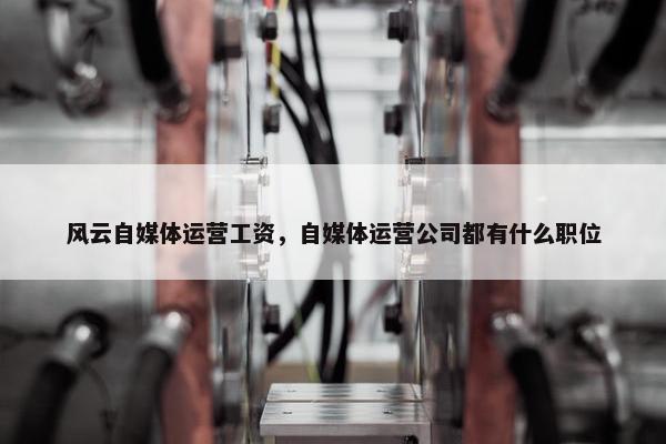 风云自媒体运营工资,自媒体运营公司都有什么职位 风云自媒体运营工资,自媒体运营公司都有什么职位