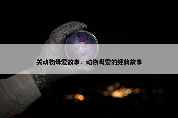 关动物母爱故事,动物母爱的经典故事