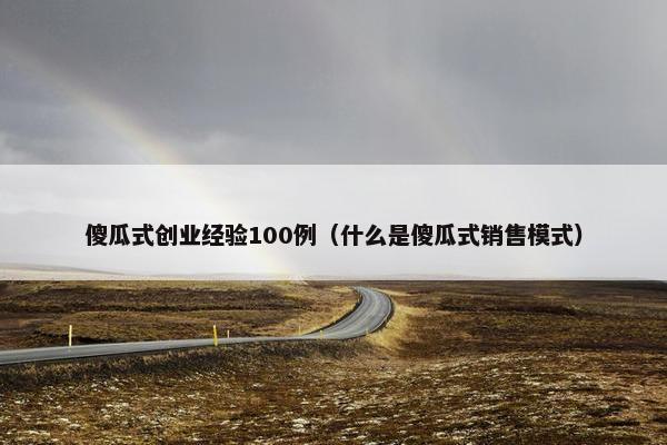 傻瓜式创业经验100例(什么是傻瓜式销售模式)
