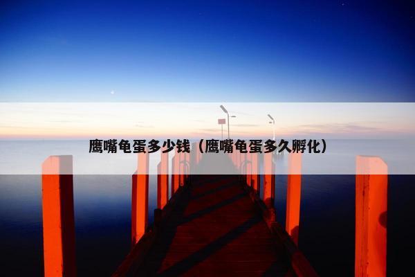 鹰嘴龟蛋多少钱(鹰嘴龟蛋多久孵化) 鹰嘴龟蛋多少钱(鹰嘴龟蛋多久孵化)