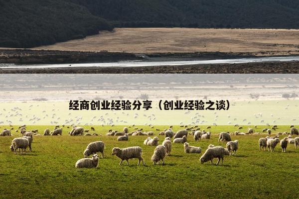 经商创业经验分享(创业经验之谈)