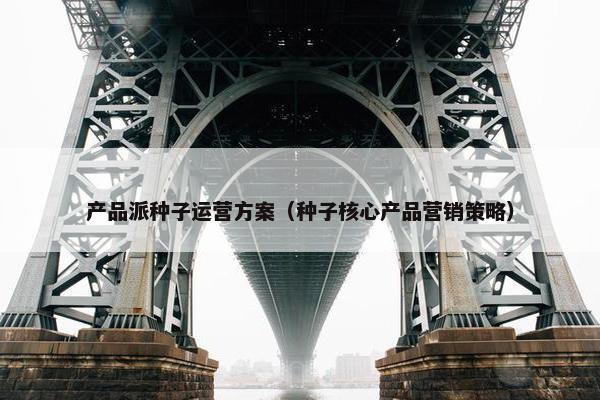产品派种子运营方案（种子核心产品营销策略）