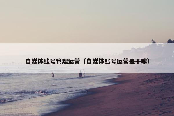 自媒体账号管理运营（自媒体账号运营是干嘛）
