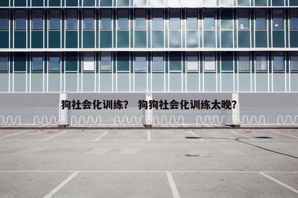 狗社会化训练? 狗狗社会化训练太晚?