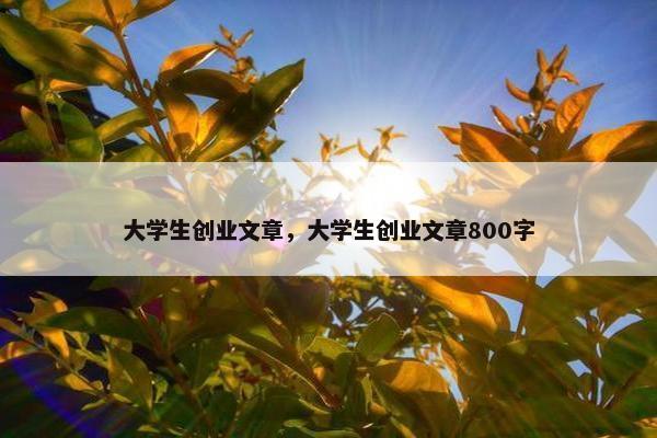 大学生创业文章,大学生创业文章800字