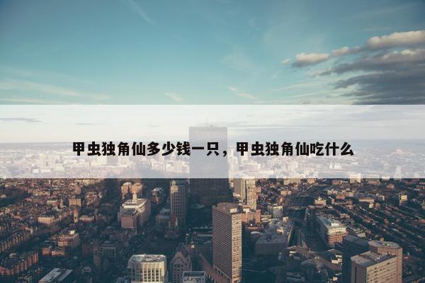 甲虫独角仙多少钱一只，甲虫独角仙吃什么