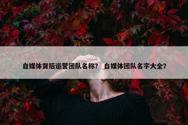 自媒体背后运营团队名称？ 自媒体团队名字大全？