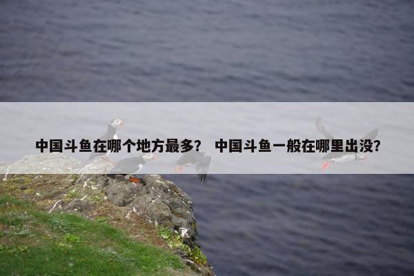 中国斗鱼在哪个地方最多？ 中国斗鱼一般在哪里出没？