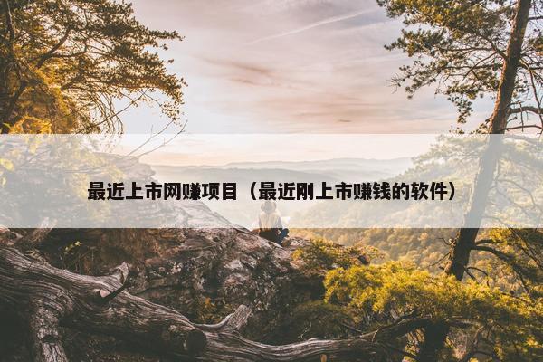 最近上市网赚项目(最近刚上市赚钱的软件)