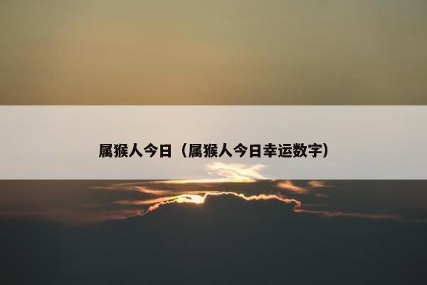 属猴人今日（属猴人今日幸运数字）